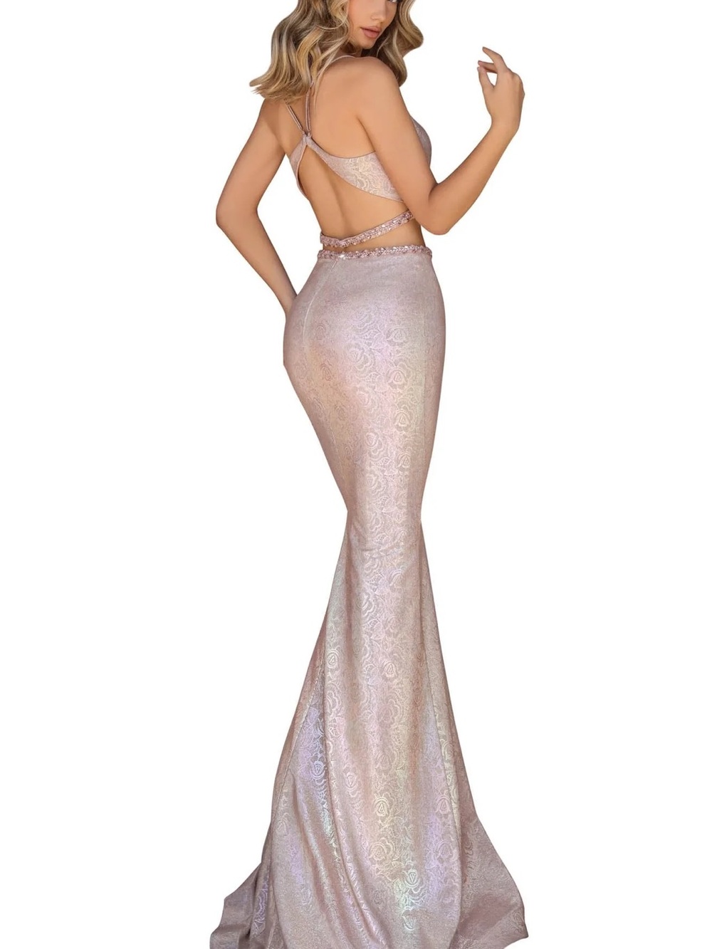 Clarisse Iridescent Light Pink Backless Mermaid Evening Dress